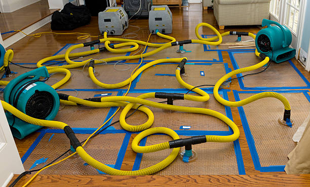 Professional Water Damage Restoration technician working in Newcastle, OK